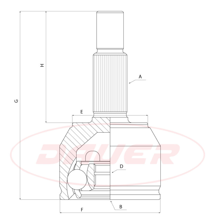 JUNTA HOMOCINETICA LADO RUEDA DAUER JHR-0110 | RENAULT KANGOO 2004-23 - Imagen 4