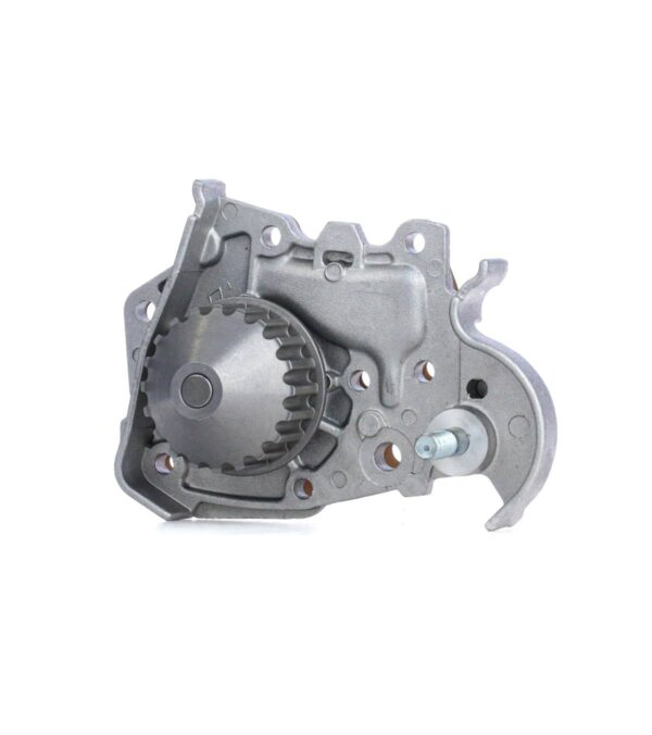 BOMBA DE AGUA DOLZ R135 - RENAULT MEGANE 1996-2009 / SCENIC 1995-2009 / KANGOO 1999-2007