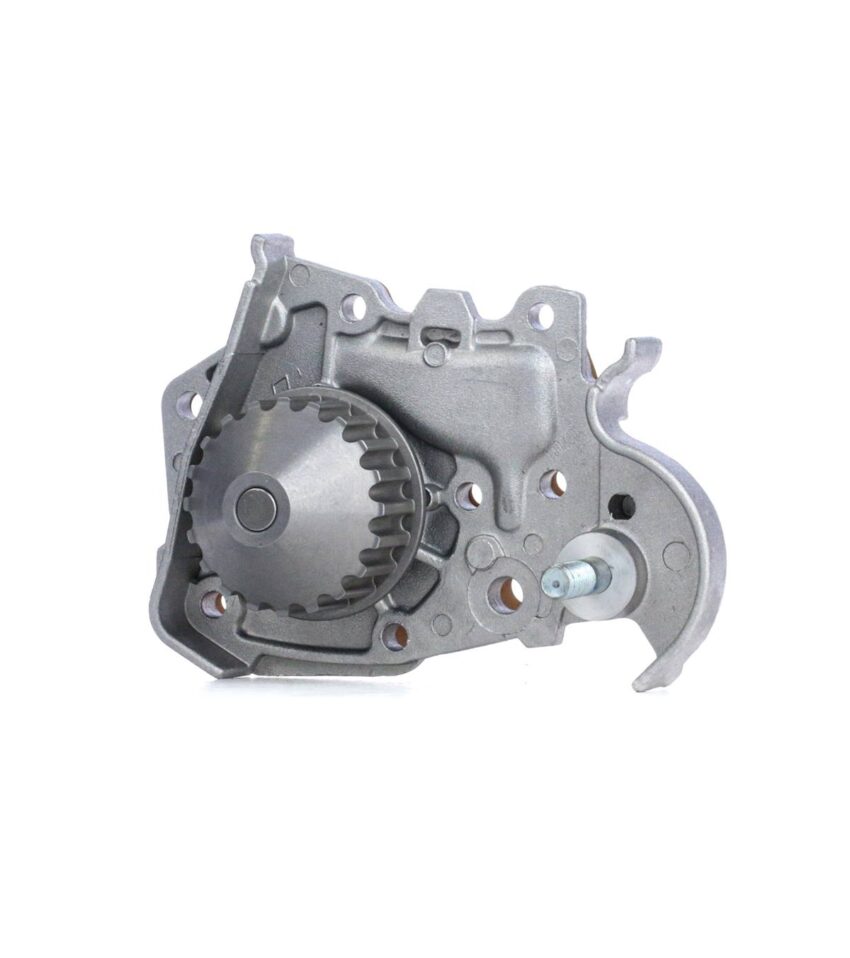BOMBA DE AGUA DOLZ R135 - RENAULT MEGANE 1996-2009 / SCENIC 1995-2009 / KANGOO 1999-2007