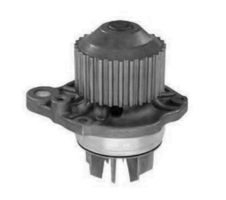 BOMBA DE AGUA DOLZ C121 - CITROEN XANTIA 3.0 / XM - PEUGEOT 406 / 605 / LAGUNA / SAFRANE