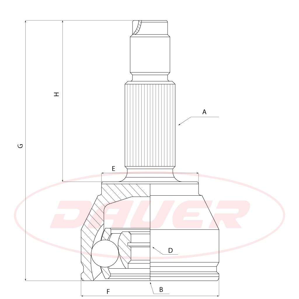 JUNTA HOMOCINETICA (LADO RUEDA) DAUER JHR-0066 - FORD ECOSPORT 2003-23/FIESTA 2001-20 - Imagen 2